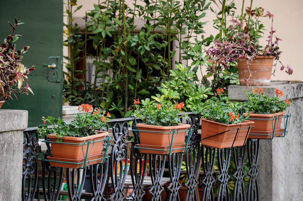 Residenza Betta Bed and Breakfast Firenze Eksteriør billede
